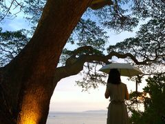 -网红落日悬崖餐厅 The Sky Gallery
