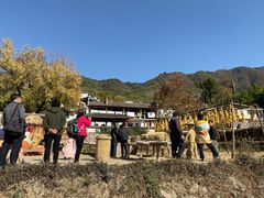 -塔川景区