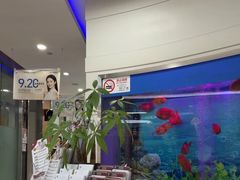 -雅悦齿科(顾村公园店)