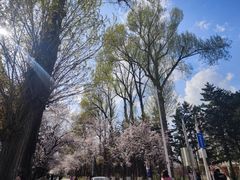-吉林大学(南岭校区)