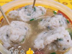 原味盲公丸-无影脚佛山陈氏盲公丸始创店(飞鸿街店)