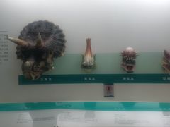 -安徽省地质博物馆