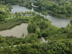 -洋湖国家湿地公园