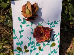 -昆山城市生态森林公园