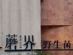 -蘑界·野生菌火锅(深业上城店)