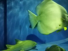 -北戴河圣蓝海洋公园