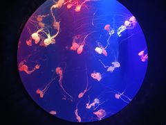 -成都浩海立方海洋公园