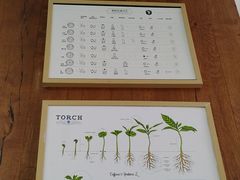 -Torch Coffee 炬点咖啡