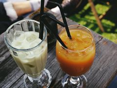 -Sirena海妖日咖夜酒