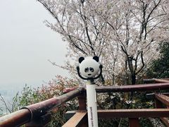 -杭州半山国家森林公园