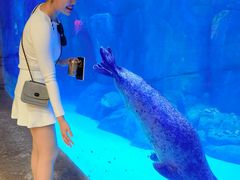 -哈尔滨波塞冬海底世界