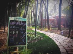 -同里国家湿地公园