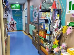 -天使宠物医院·犬猫分诊(彩虹店)
