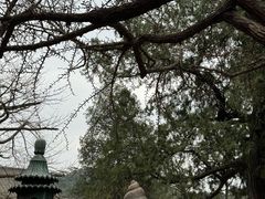 -红螺寺
