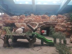 -石家庄市动物园