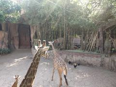 -长鹿旅游休博园