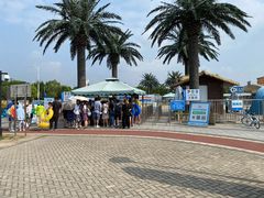 景点-上海玛雅海滩水公园