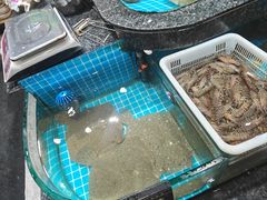 -渔码头食府(蓬莱阁店)