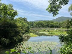 -中国茶叶博物馆(双峰馆区)