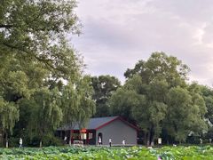 -北陵公园
