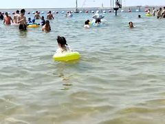 -碧海金沙