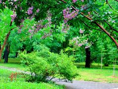 -国家植物园南园