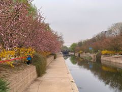 -元大都城垣遗址公园