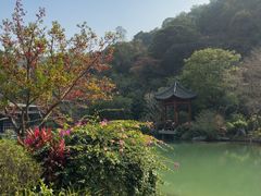 -云溪植物园