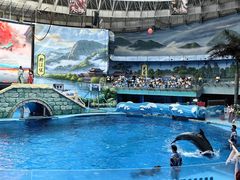-海合安成都极地海洋公园
