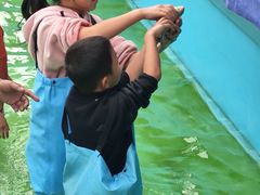 -莆田亚特湾水上乐园(原水上欢乐谷)