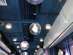 -中国宋庆龄青少年科技文化交流中心