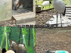 -南昌动物园