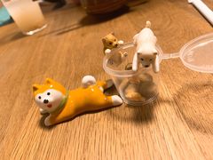 -柴务处·柴犬主题狗咖