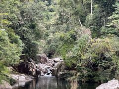 -海南热带雨林国家公园吊罗山景区