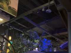 -绿茶餐厅(昆明世纪金源店)