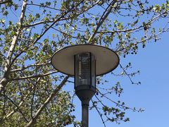 -山东师范大学(千佛山校区)