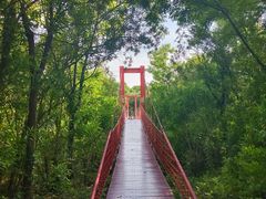 -上海吴淞炮台湾国家湿地公园