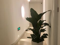 -LANN I 蘭 SPA(陆家嘴中心店)