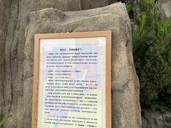 -洪家楼教堂