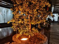-随园花园餐厅(新港中路店)