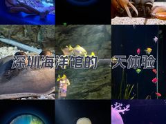 -欢乐海岸海洋奇梦馆