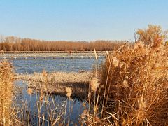 -野鸭湖国家湿地公园