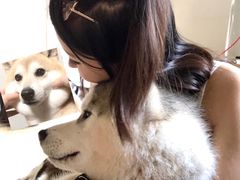 -Husky Go! 哈士奇体验馆·宠物咖啡厅狗咖