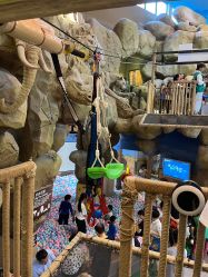 -卡通尼·Safari非洲探索乐园·生日会(金桥国际商业广场店)