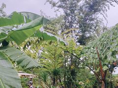-茅草房·河畔园林火锅