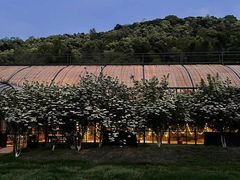 -怪咖·joker陈楠