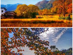 -塔川景区