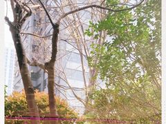 -新城控股新总部大楼