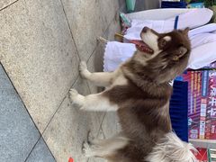 -万达广场(南京江宁店)