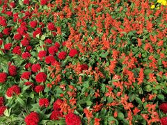 -拿渡麻辣香锅(管庄店)